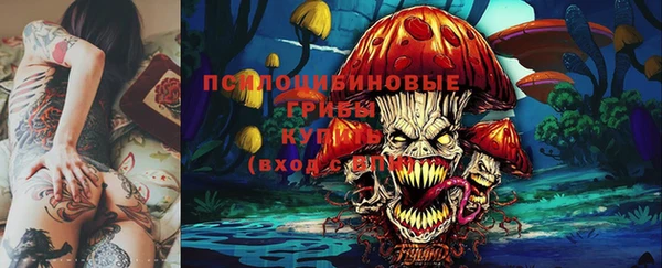 твердый Армянск