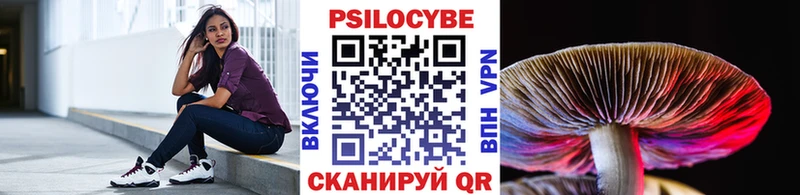 Галлюциногенные грибы мицелий  Спас-Деменск 